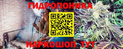марихуана Аргун