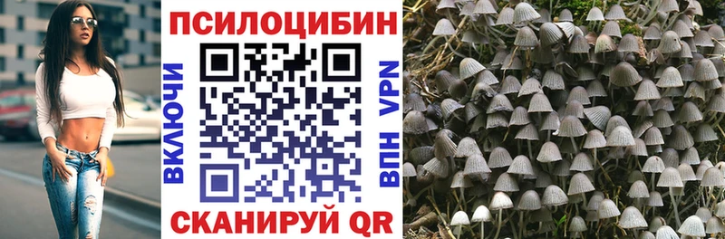 Галлюциногенные грибы мухоморы  Избербаш 